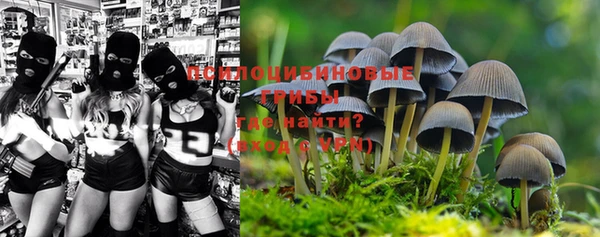 дурь Белоозёрский
