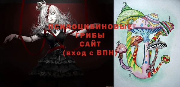 наркотики Белокуриха