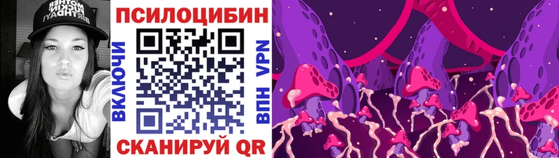Галлюциногенные грибы Psilocybine cubensis  Кстово 